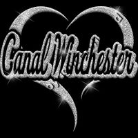 GLT77 SILVER GLITTER Thumbnail